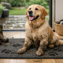 Quel tapis d’entrée pour chien boueux choisir ?