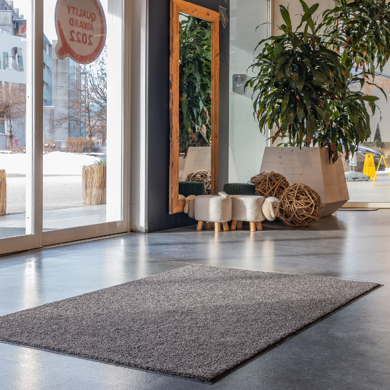 Tapis intérieur Nova – Absorption efficace à petit prix